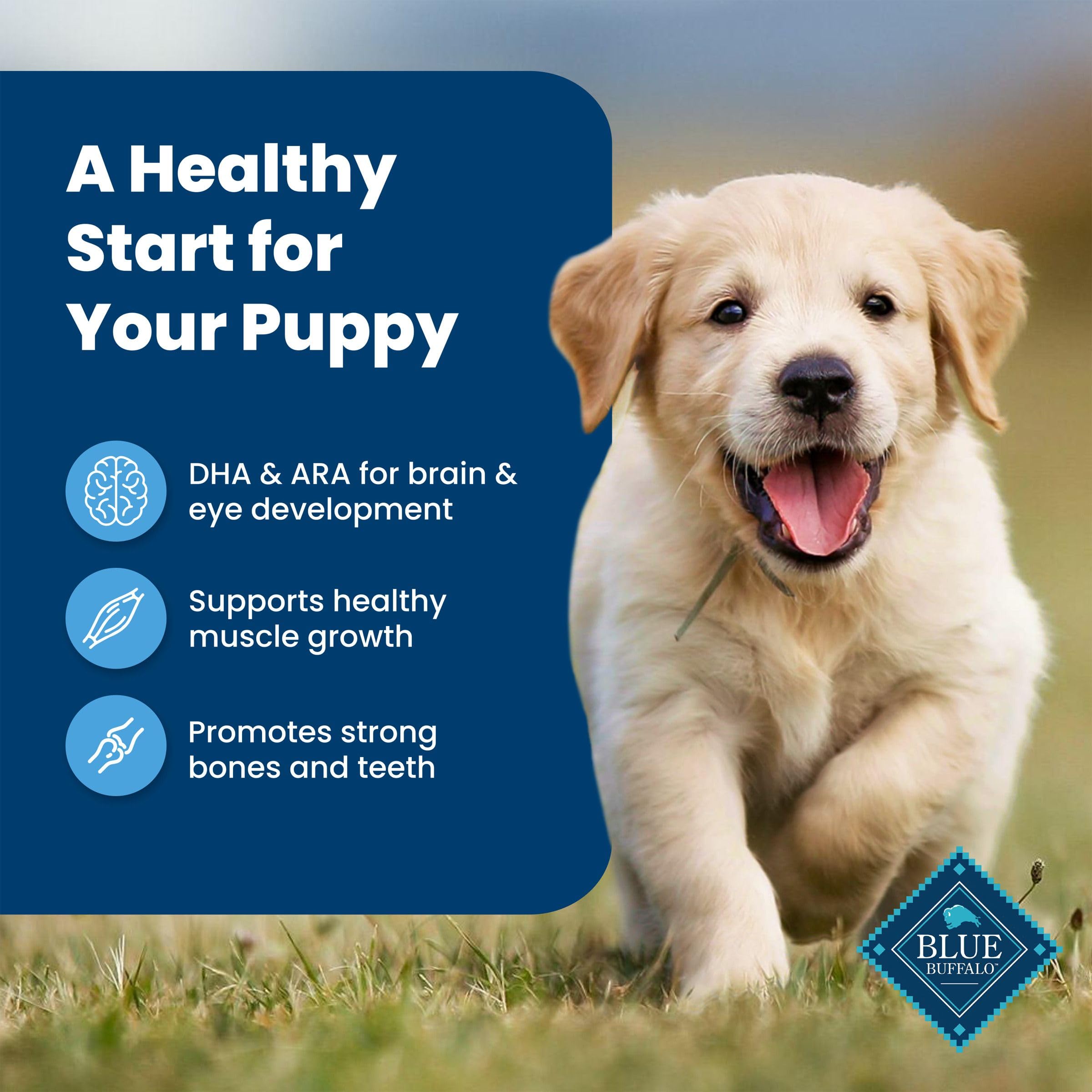 Blue Buffalo Life Protection Puppy no corn wheat soy