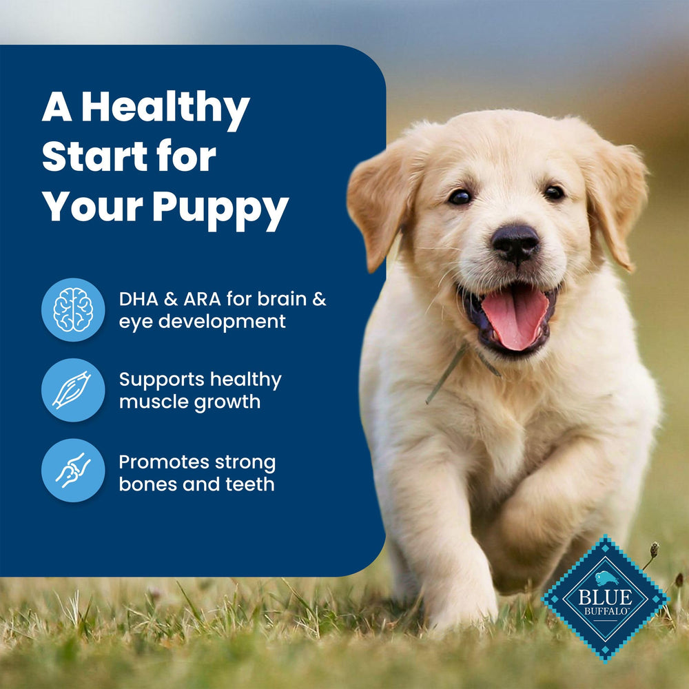 Blue Buffalo Life Protection Puppy no corn wheat soy