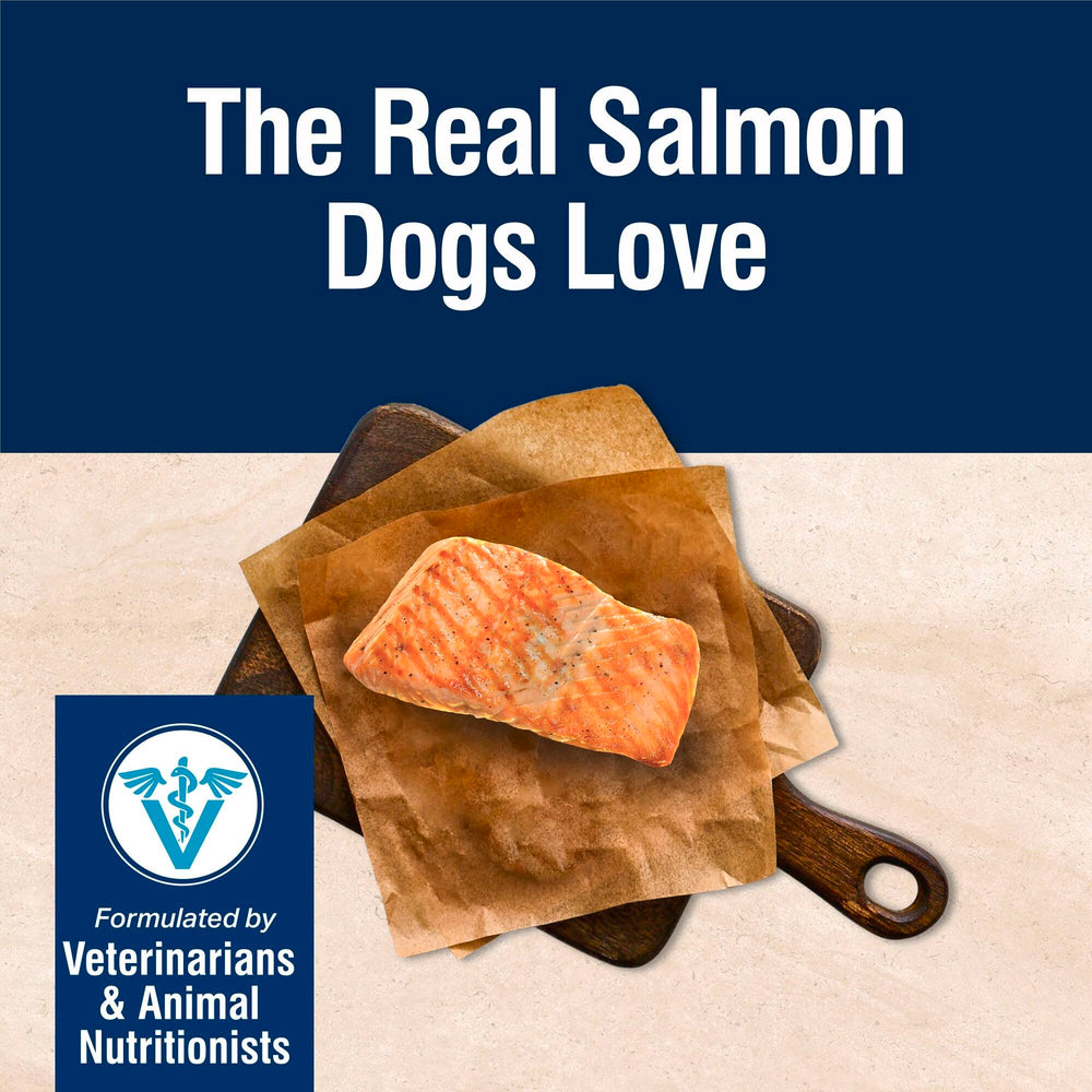 Blue Buffalo Skin Coat ingredients image highlights omega fatty acids for skin support