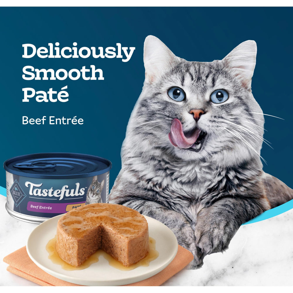 Blue Buffalo Tastefuls Beef Pate texture-closeup reveals creamy paté appeal.