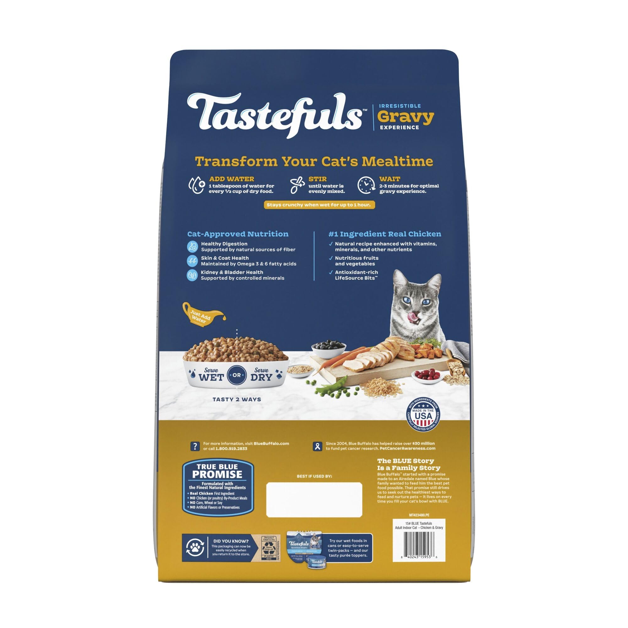 Blue Buffalo Tastefuls bowl-ready dry kibble showing crunchy texture