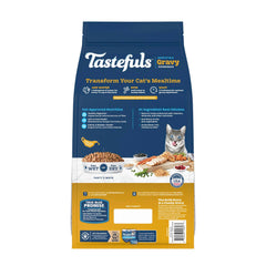 Blue Buffalo Tastefuls dry bites served for indoor cats with satisfying crunch.