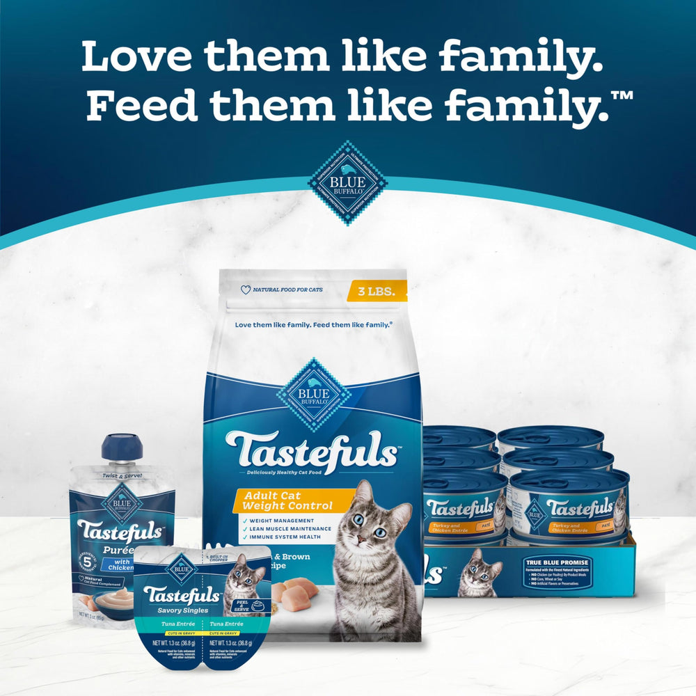 Blue Buffalo Tastefuls dry cat food in bowl ready to serve