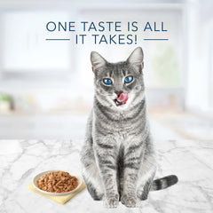 Blue Buffalo Tastefuls flaked texture close-up with tuna flakes in gravy