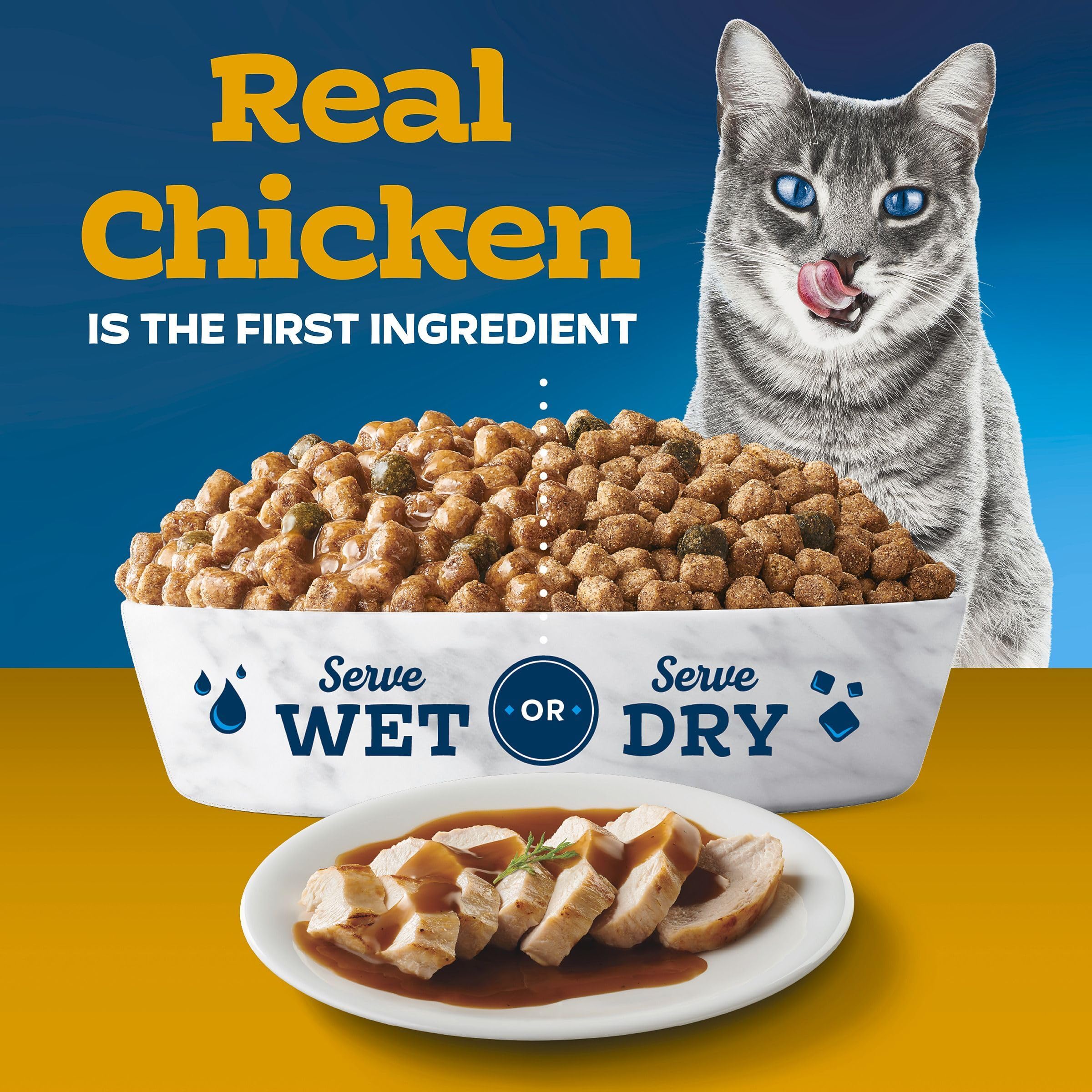 Blue Buffalo Tastefuls gravy prep demonstrates warm water turning kibble into gravy