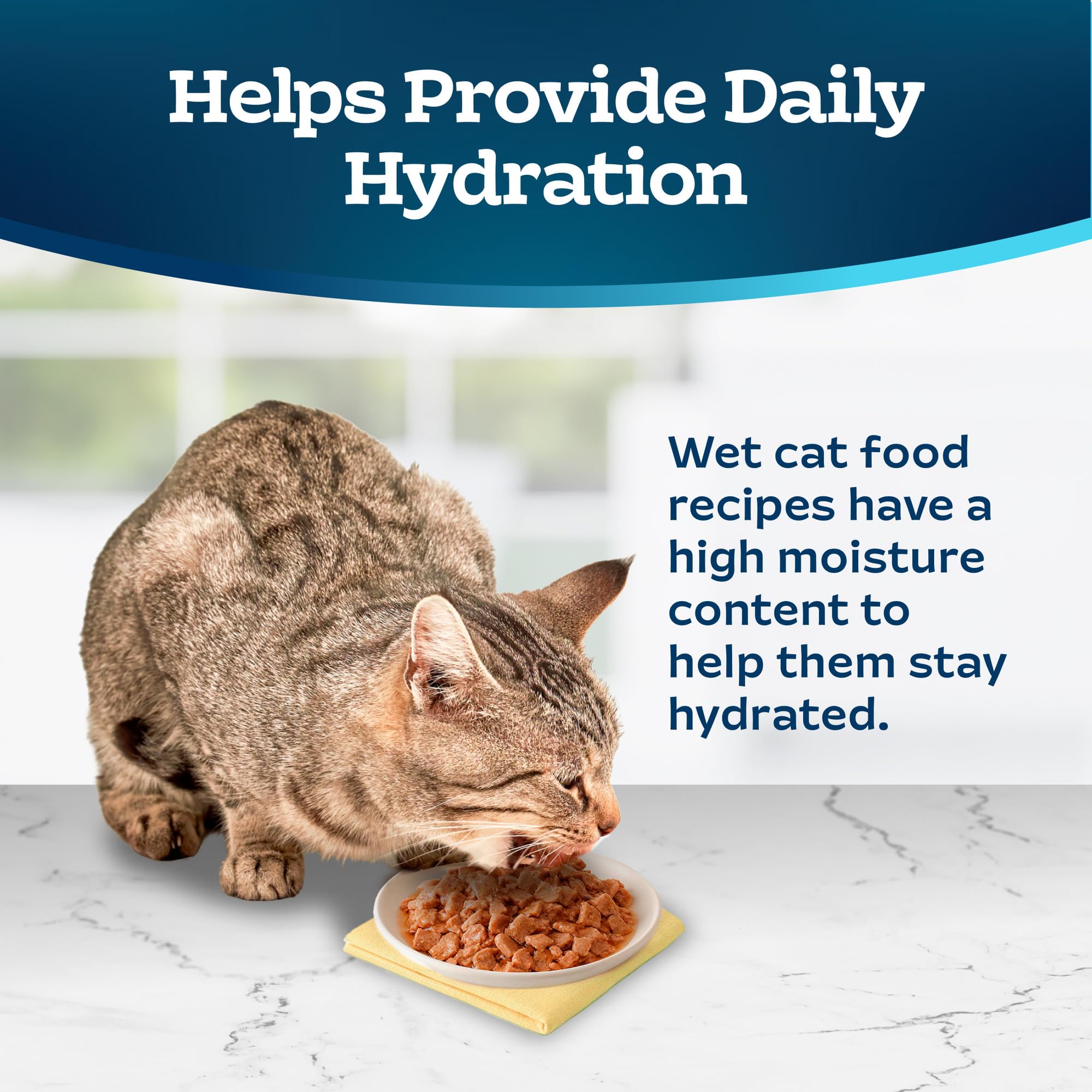 Blue Buffalo Tastefuls high moisture content supports hydration during meals.