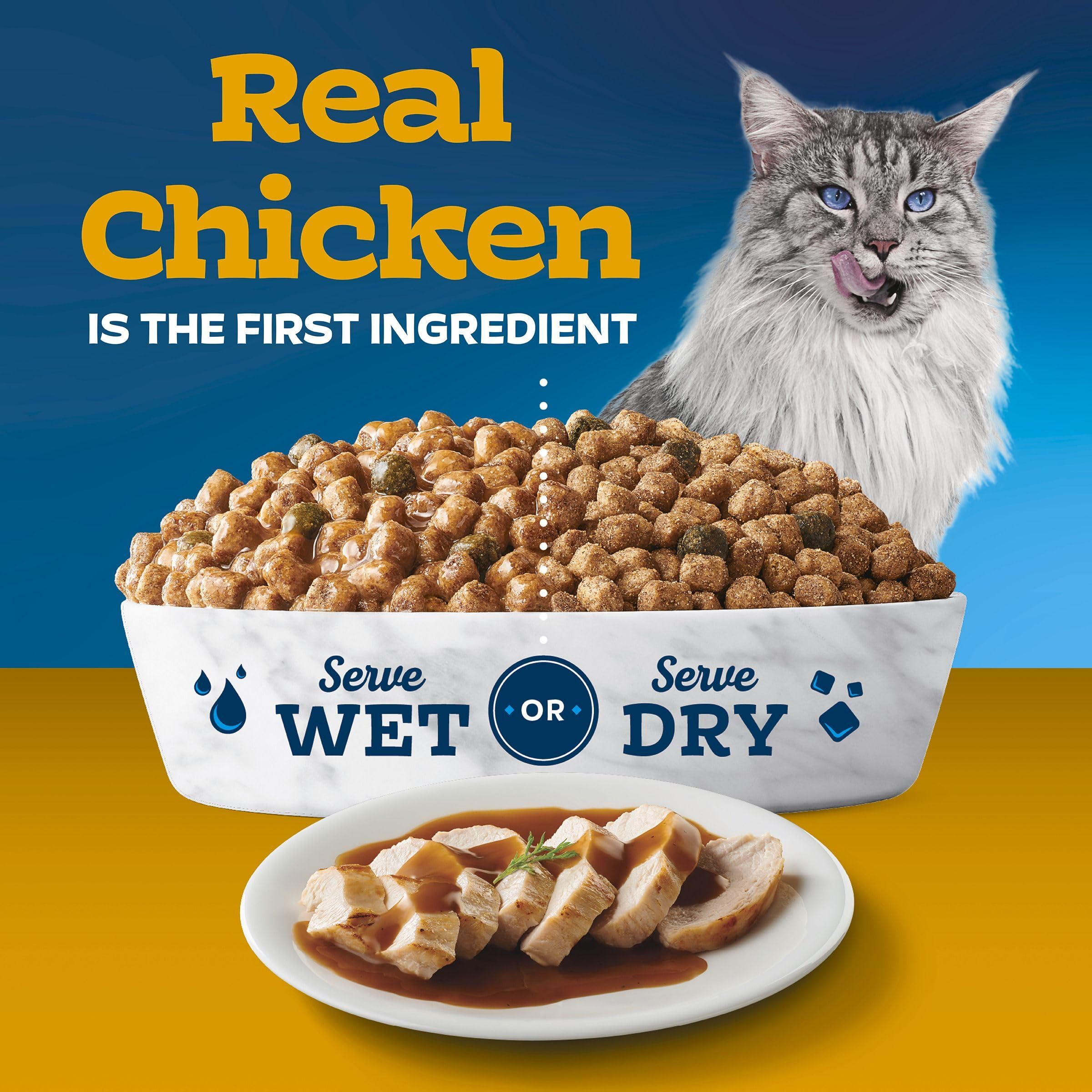 Blue Buffalo Tastefuls Irresistible Gravy Experience cat enjoying gravy shows flavorful appeal