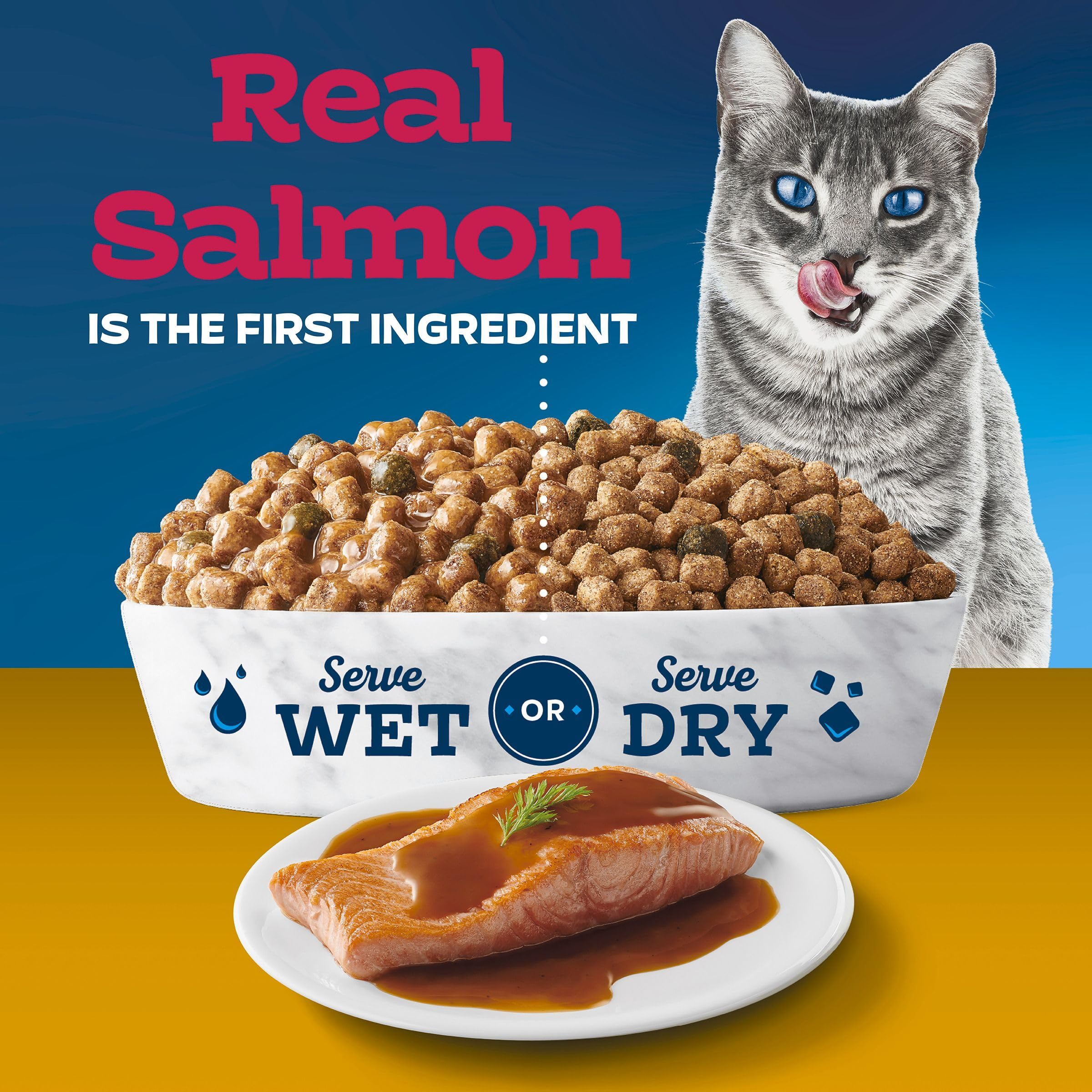 Bowl of Blue Buffalo Tastefuls Irresistible Gravy Experience kibble stays crunchy when wet up to one hour.