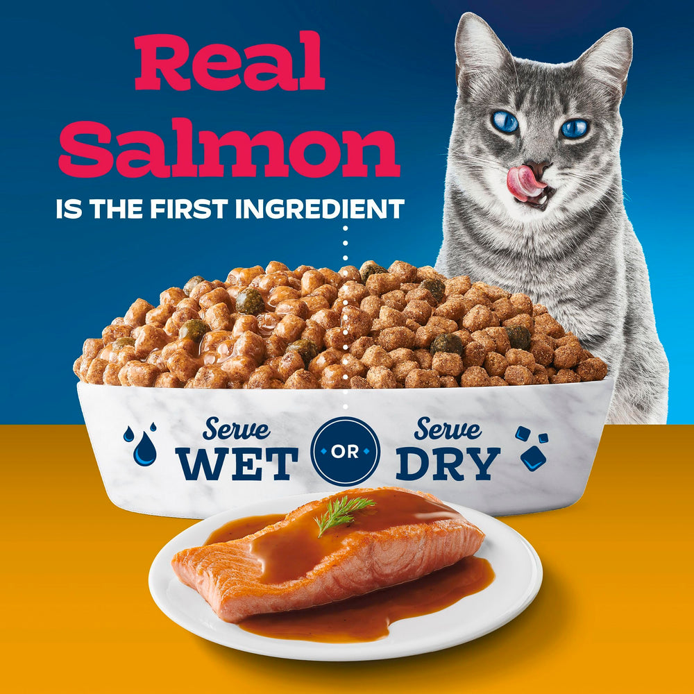 Bowl of Blue Buffalo Tastefuls Irresistible Gravy Experience kibble stays crunchy when wet up to one hour.