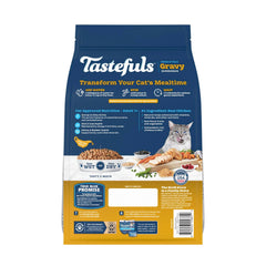Blue Buffalo Tastefuls Irresistible Gravy Experience dry kibble close-up for crunchy texture
