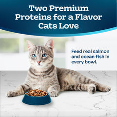 Blue Buffalo Tastefuls kibble close-up emphasizes protein bites for cats