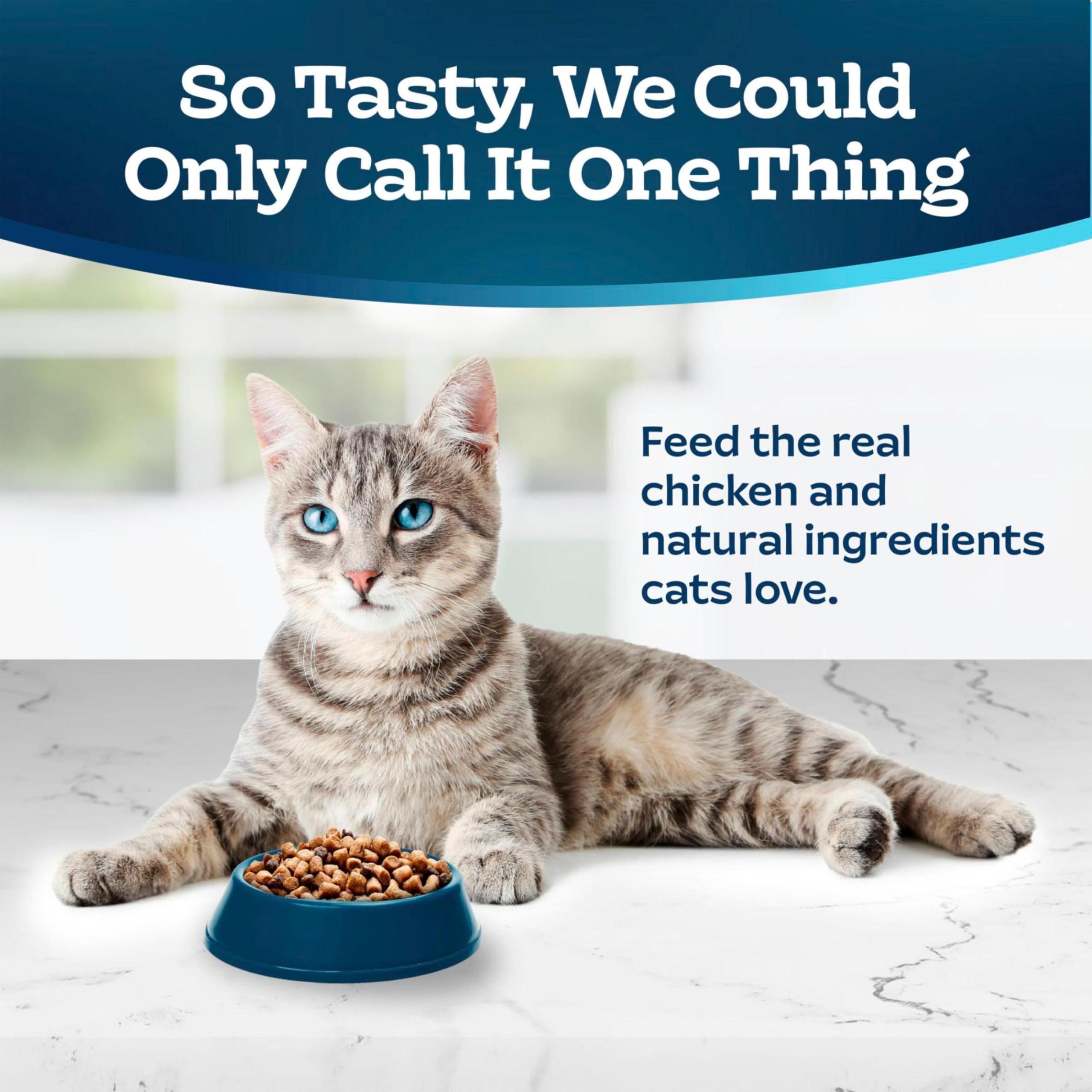 Kibble close-up from Tastefuls showing crunchy texture for indoor cats.