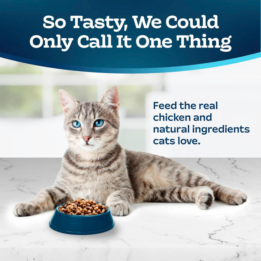 Kibble close-up from Tastefuls showing crunchy texture for indoor cats.