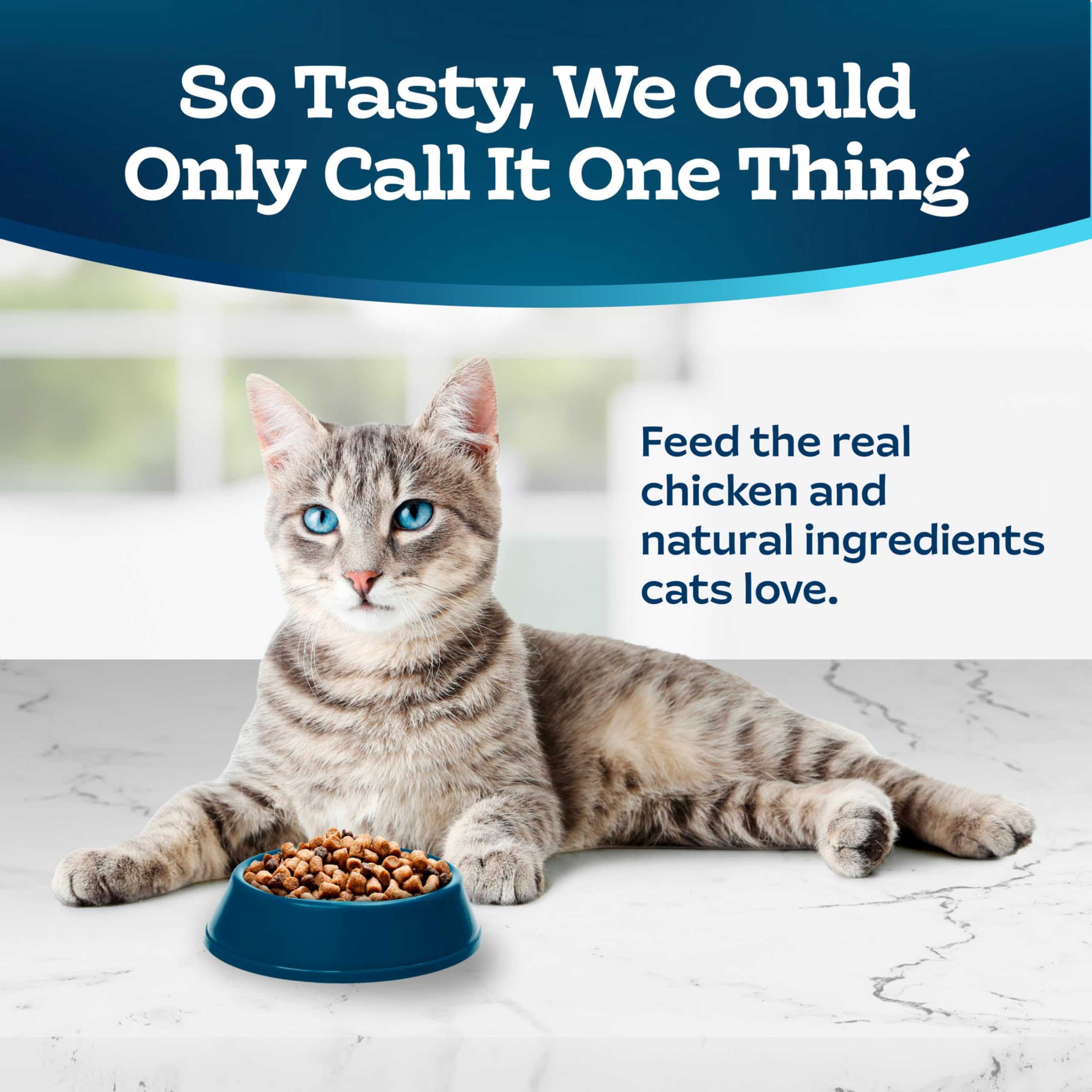 Blue Buffalo Tastefuls LifeSource Bits close-up highlighting antioxidants in the mix.