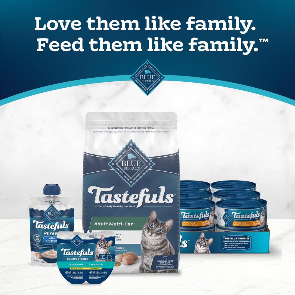 Blue Buffalo Tastefuls no artificial flavors preserved claim highlighted visually.