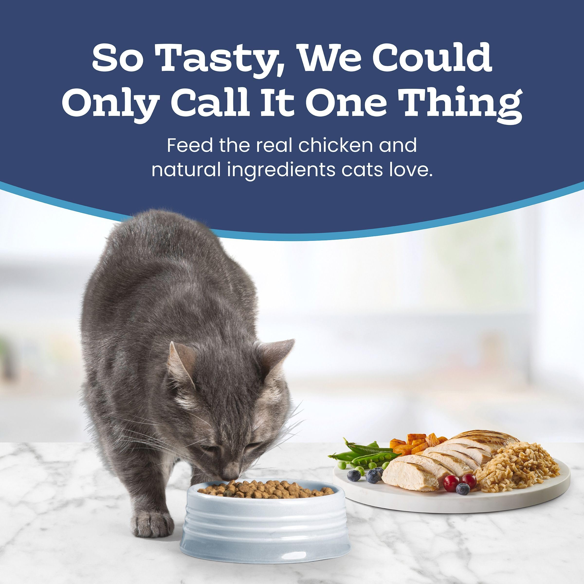 Blue Buffalo Tastefuls label highlights no corn, wheat, or soy formulation