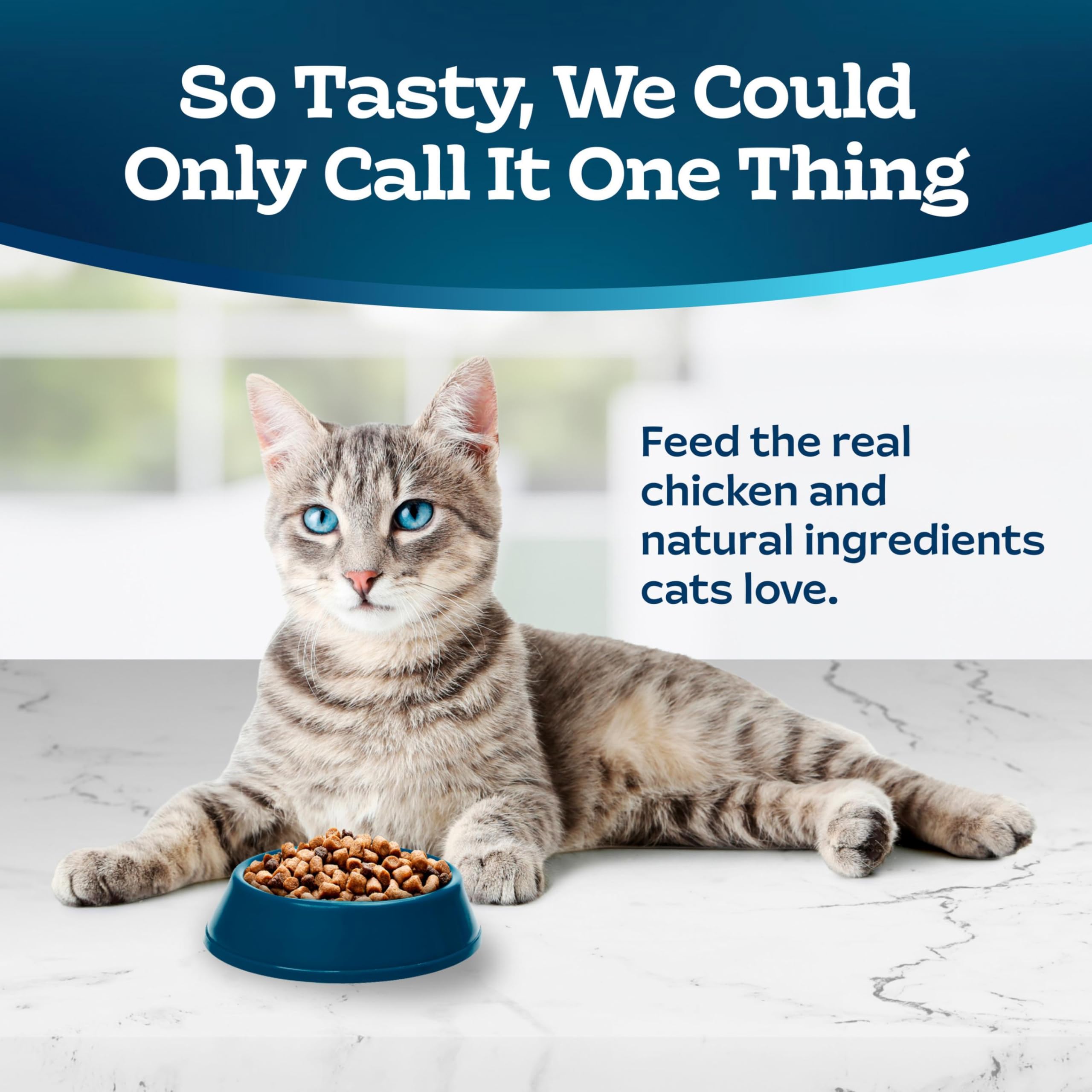 Blue Buffalo Tastefuls real chicken first ingredient highlights quality protein