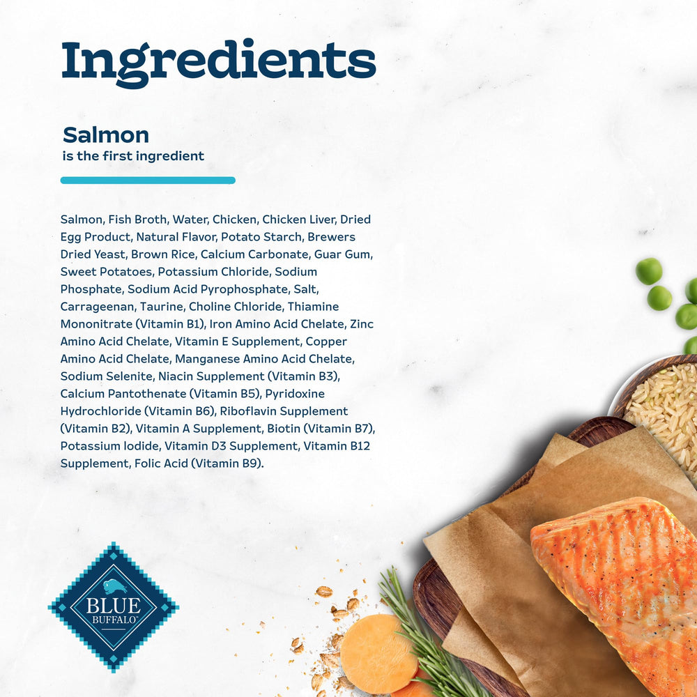Glossy gravy and tender salmon highlight hydration-friendly wet food appeal.