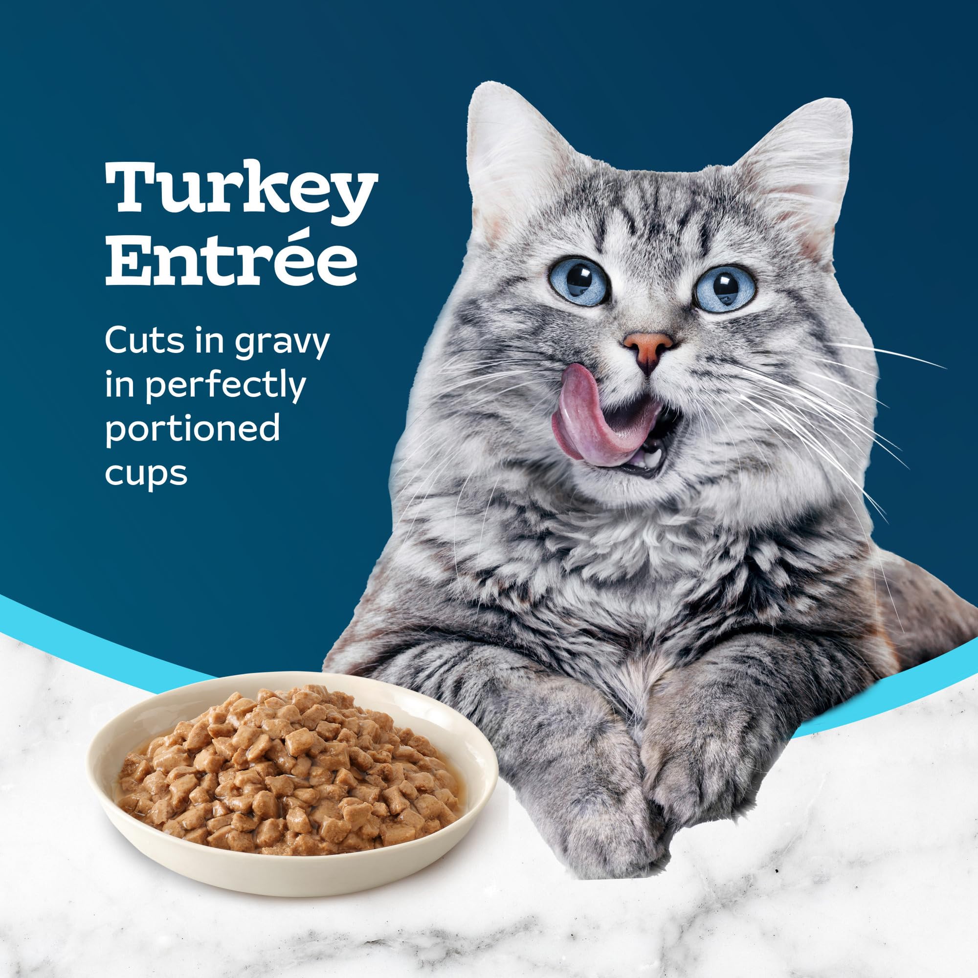 Turkey entree with rice and sweet potato from Blue Buffalo Tastefuls Savory Singles highlights wholesome ingredients.