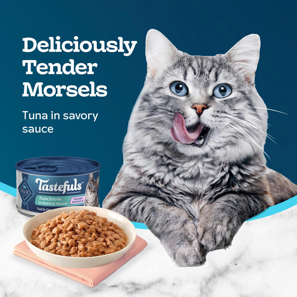 Blue Buffalo Tastefuls serving time, a mealtime moment for daily routine