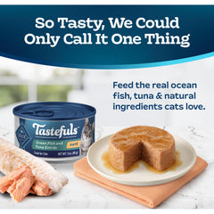 Close-up of silky pate texture from Blue Buffalo Tastefuls cat food
