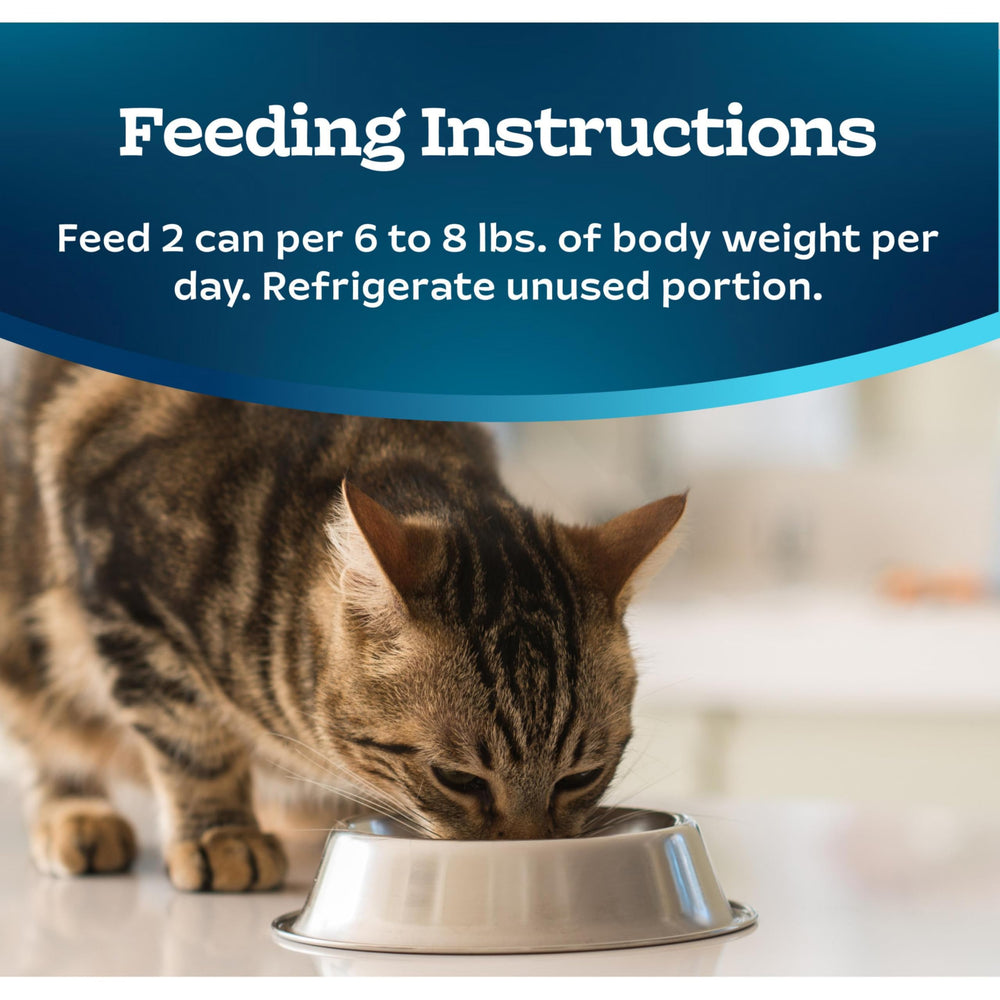 Blue Buffalo Tastefuls pate appeals to cats with discerning palates.