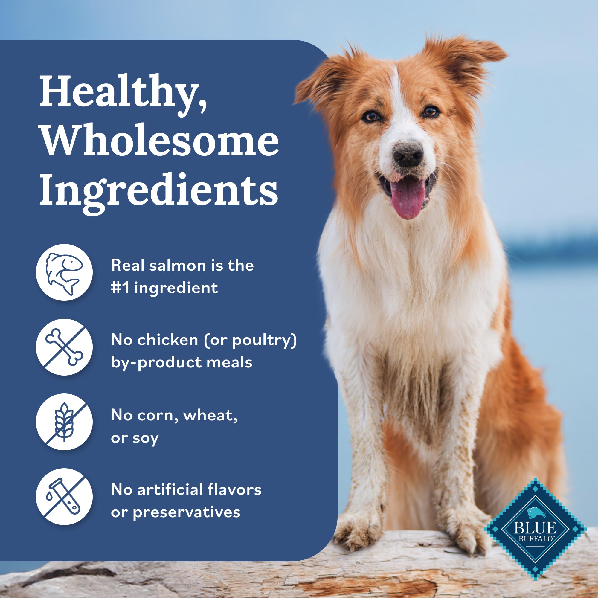 No poultry by-product meals in Blue Buffalo Tender Shreds for a cleaner topping.