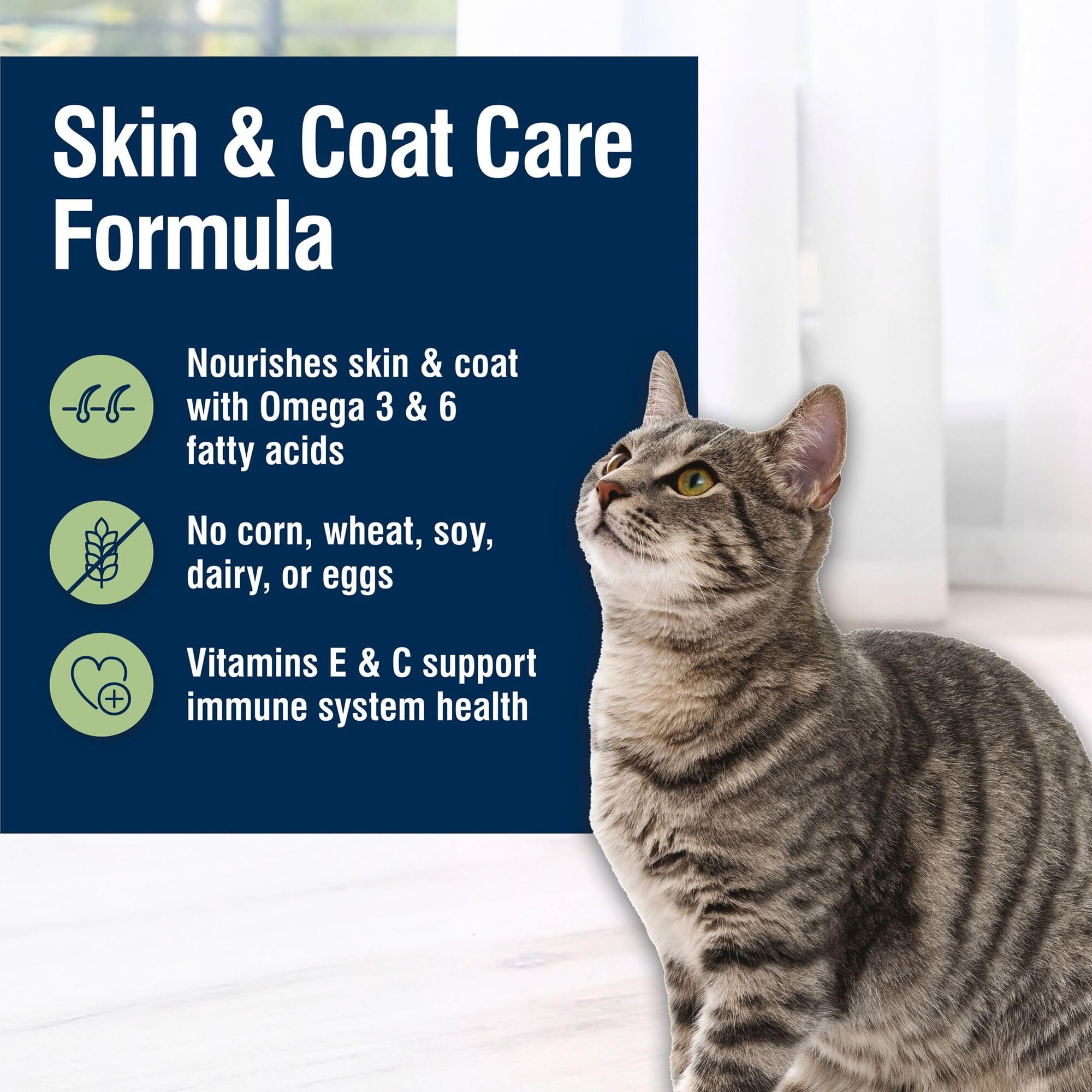 Blue Buffalo True Solutions cat food in bowl during meal time for daily nourishment