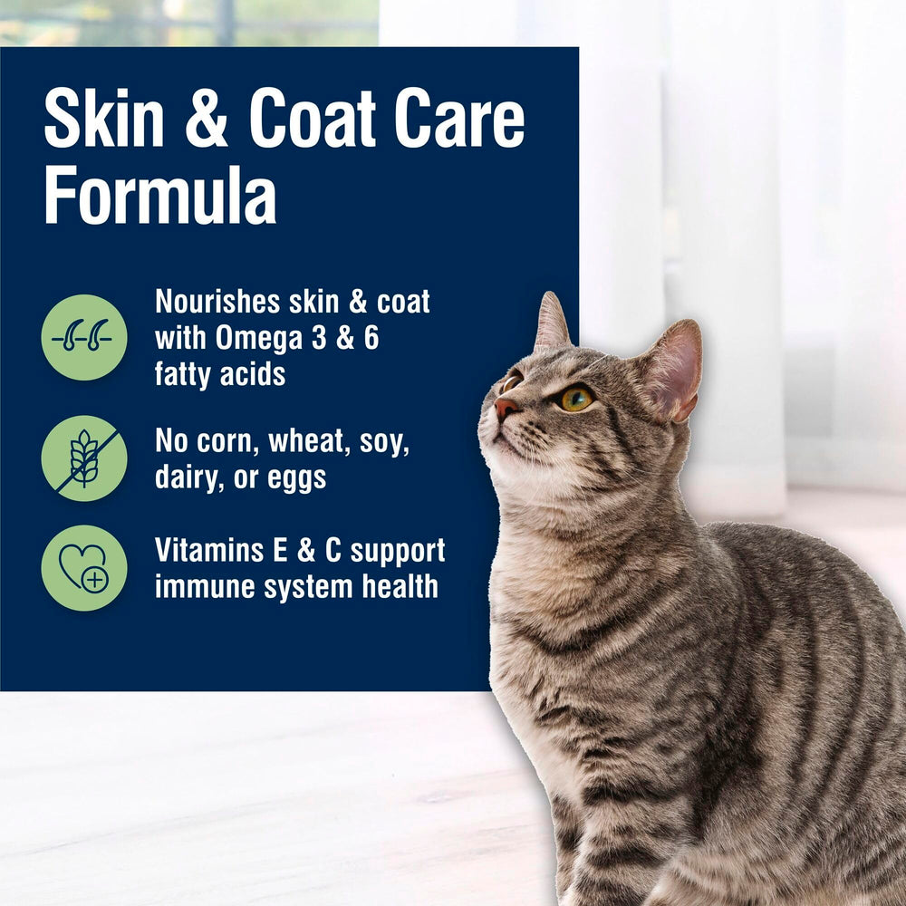 Blue Buffalo True Solutions cat food in bowl during meal time for daily nourishment