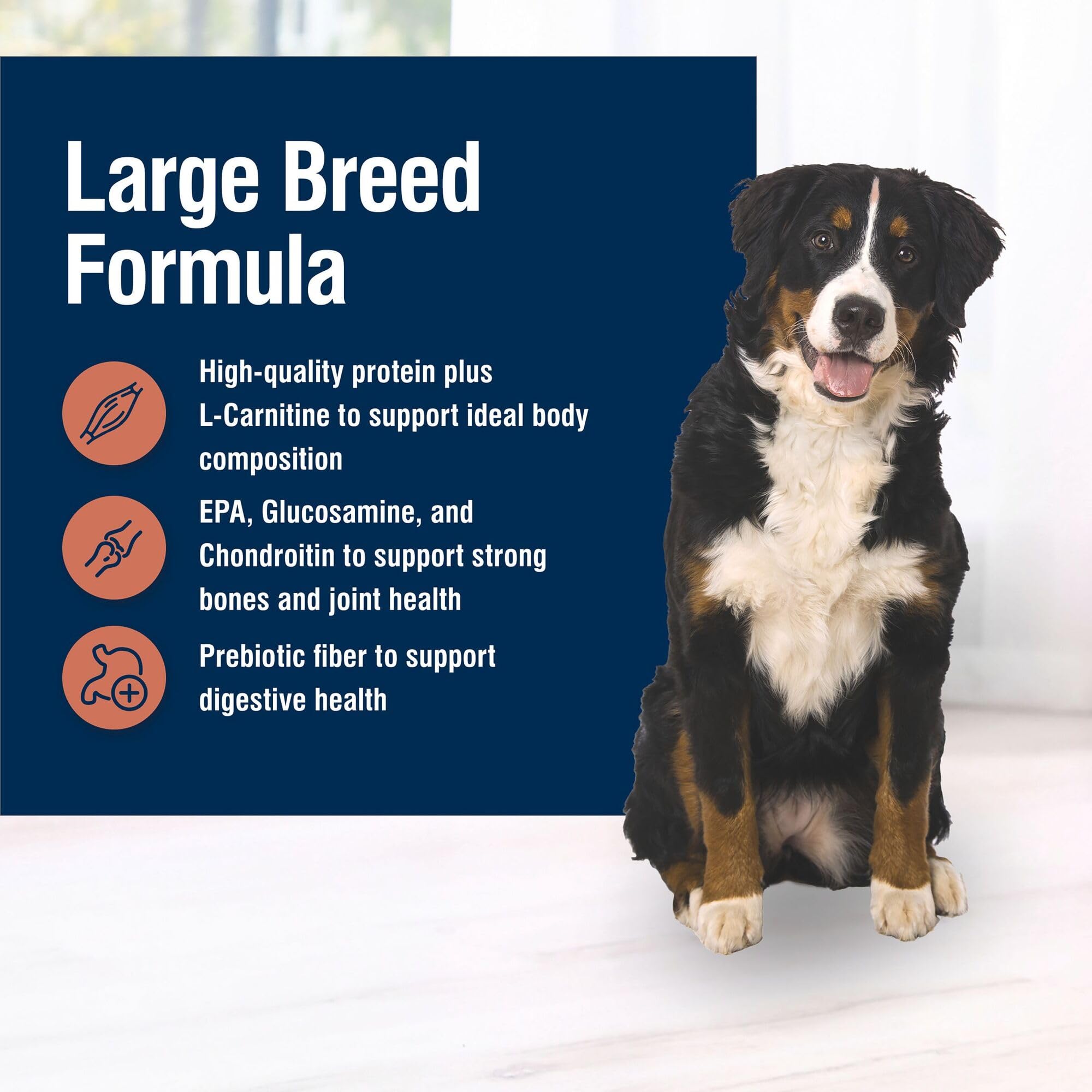Blue Buffalo True Solutions includes EPA and joint nutrients for healthy joints.