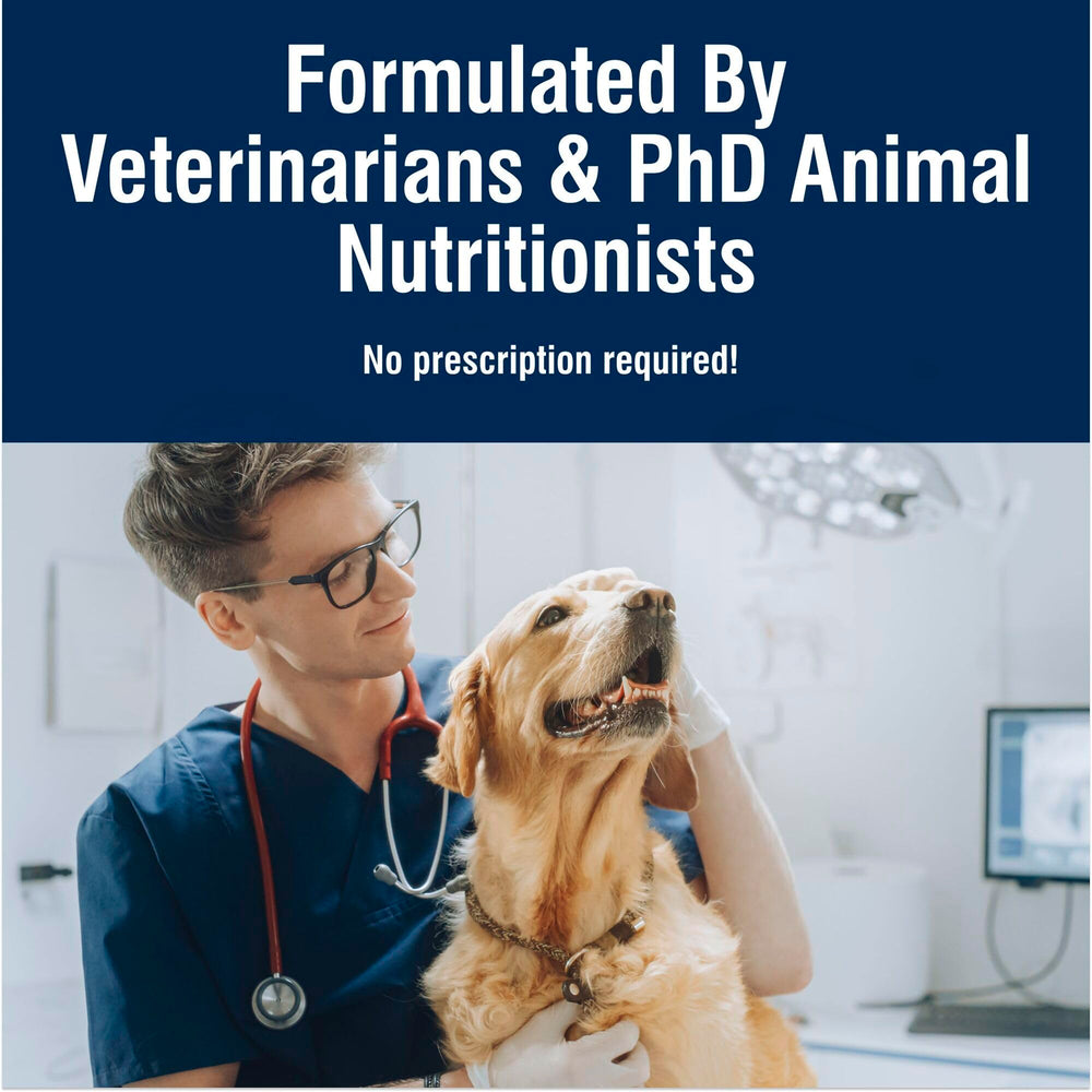 Blue Buffalo True Solutions kibble in bowl ready to serve.
