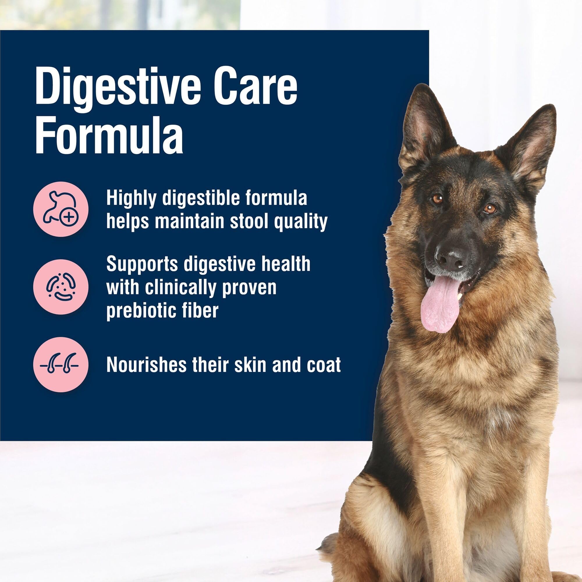 Blue Buffalo True Solutions prebiotic fiber graphic supports health.