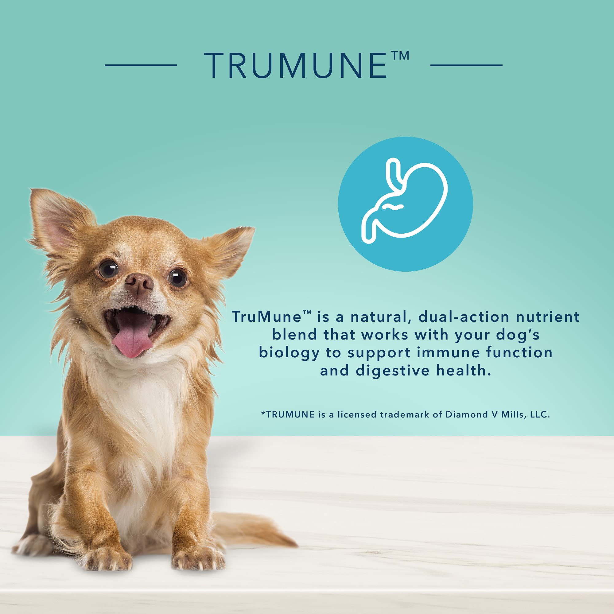 USA-made Blue Buffalo dog food imagery for small-breed recipes.