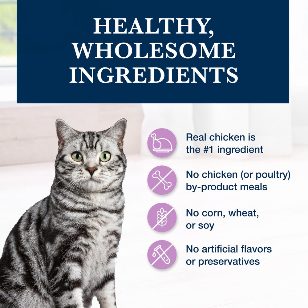Enhanced packaging highlights ingredients and benefits while preserving product integrity.
