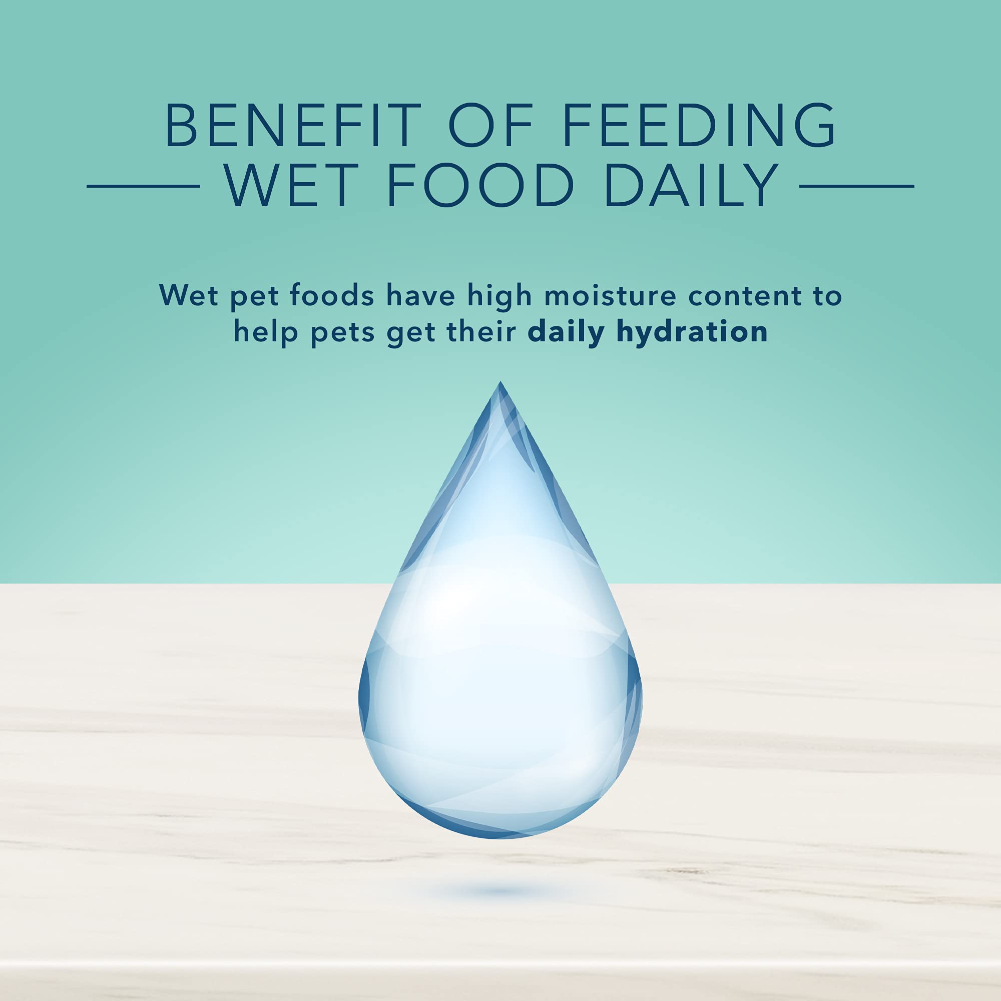 Wet food paired with dry Blue Buffalo kibble for a complete meal idea.