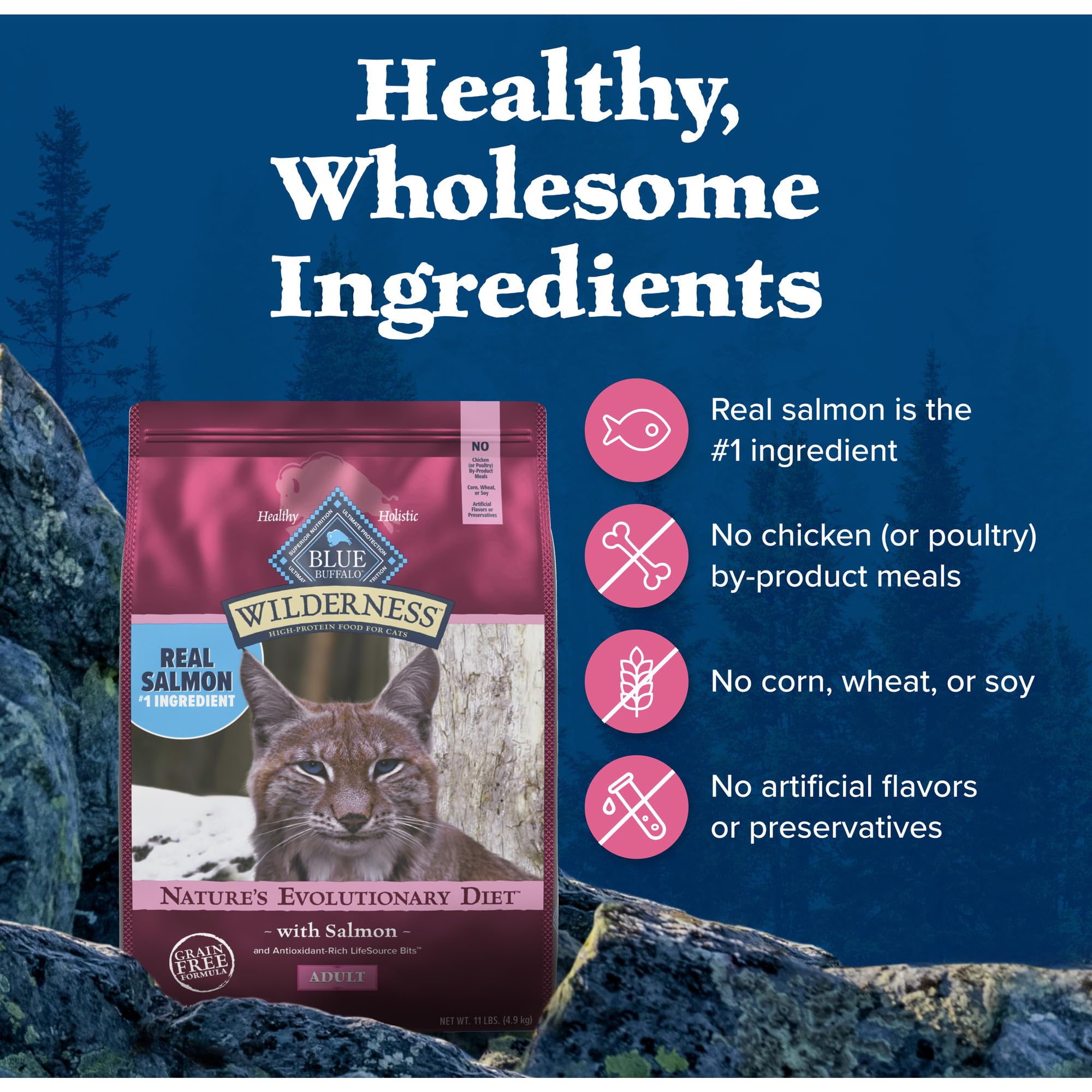 Blue Buffalo Wilderness 11-lb bag displayed on shelf