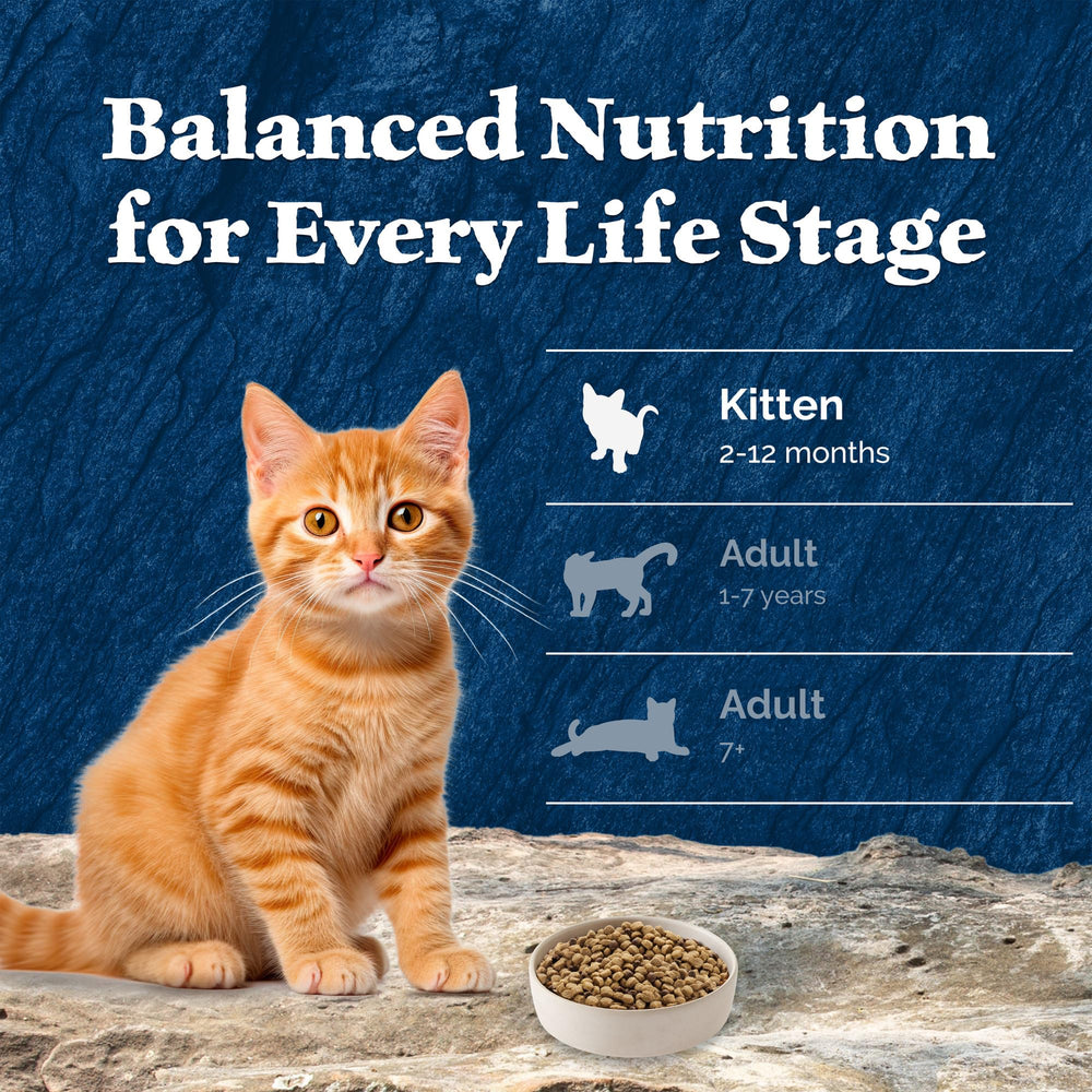 Blue Buffalo Wilderness chicken recipe kitten food product shot communicates natural nourishment.