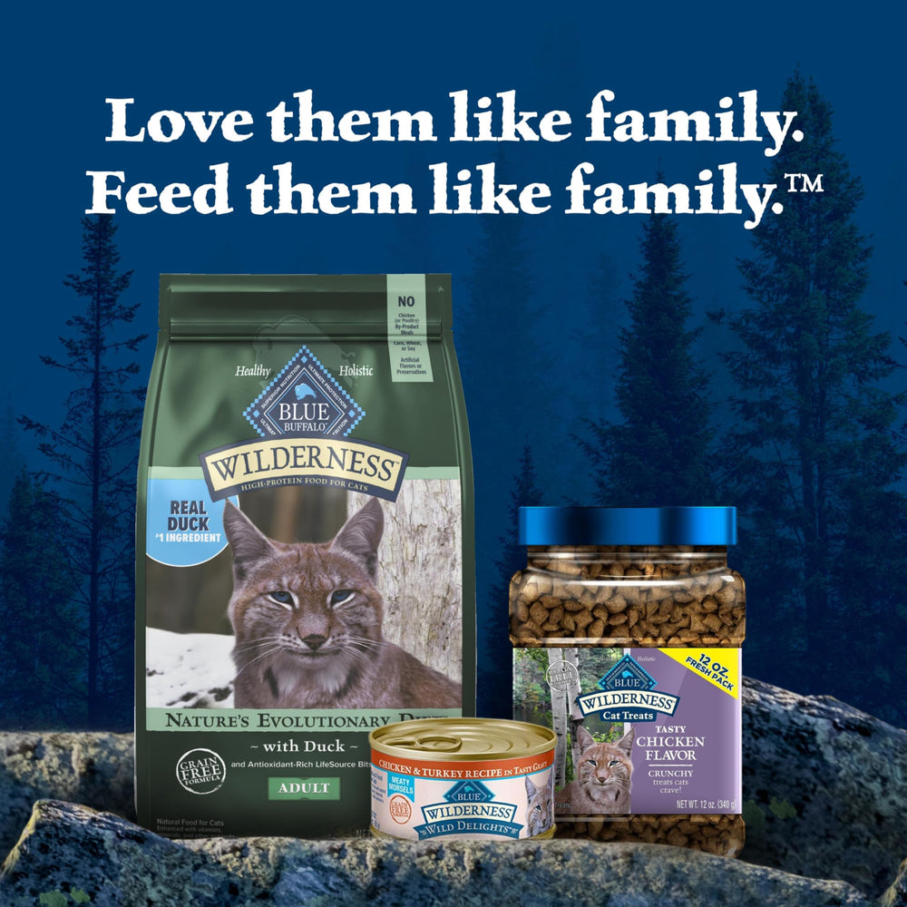 Blue Buffalo Wilderness front-packaging 5-lb bag suitable for daily cat meals