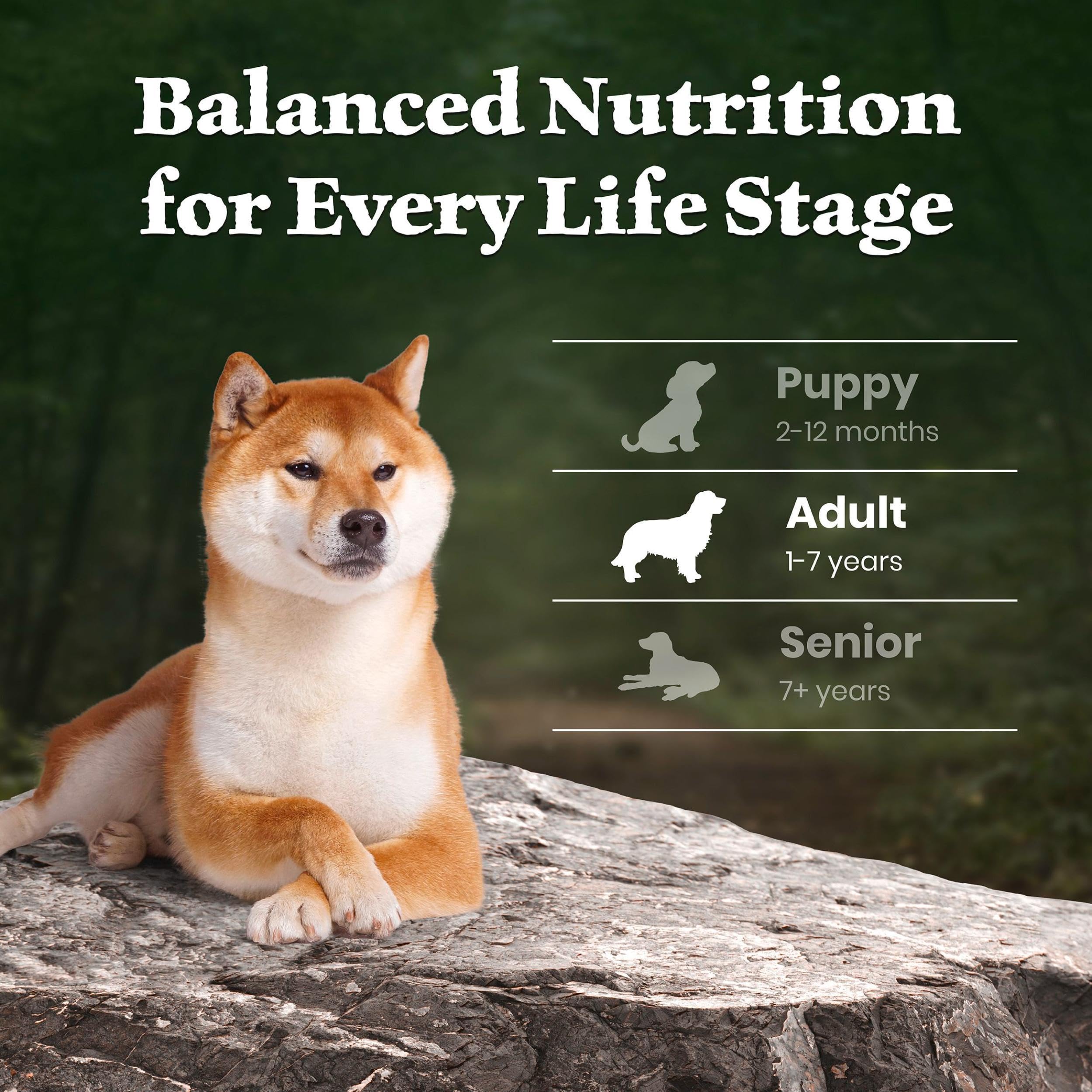 Blue Buffalo Wilderness barley and oats with fruits and vegetables provide balanced energy.