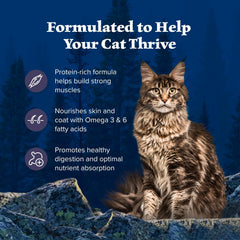 Blue Buffalo Wilderness coat and skin support graphic with omega fatty acids
