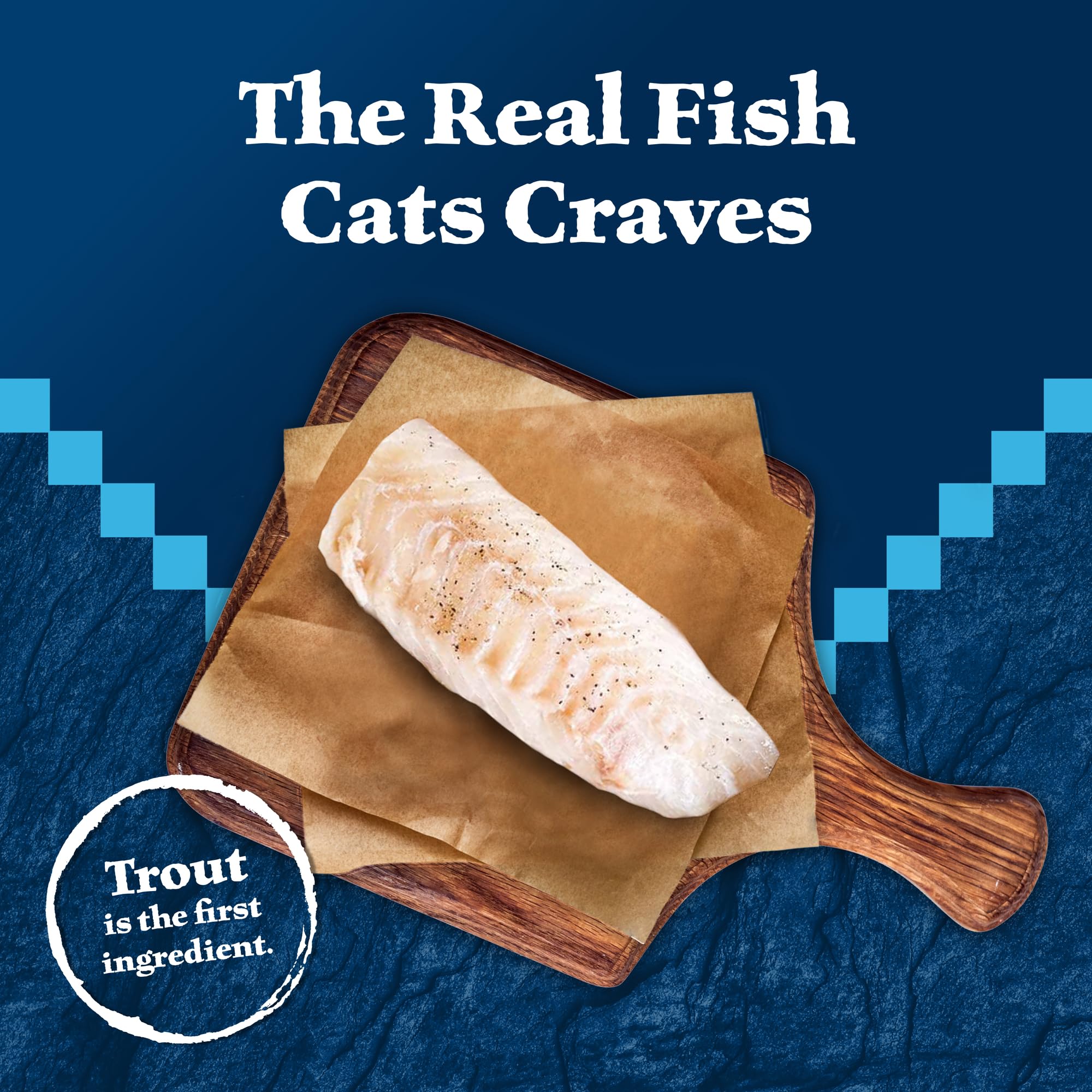 Blue Buffalo Wilderness high-moisture wet cat food supports daily hydration