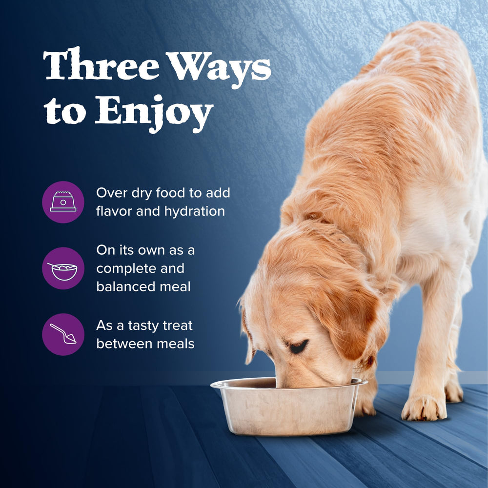 Blue Buffalo Wilderness dog-enjoying-meal; appealing texture for rewarding dining.