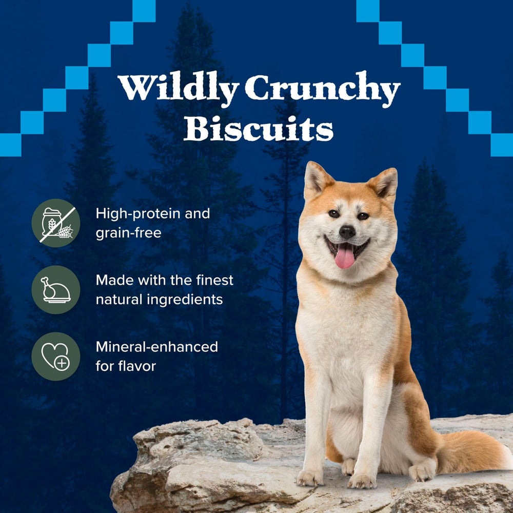 Blue Buffalo Wilderness real duck first ingredient highlights protein-rich choice