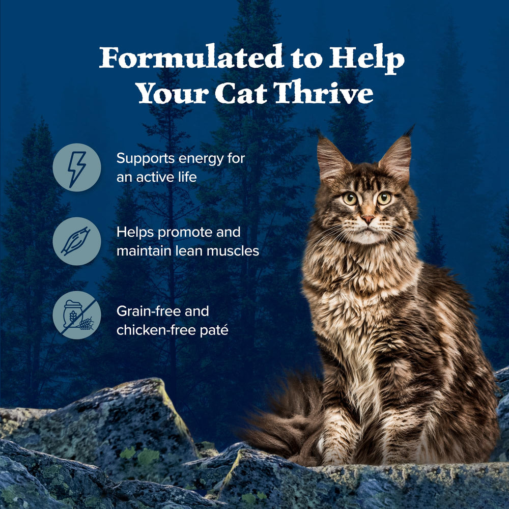 Grain-free Blue Buffalo Wilderness cat food free from corn wheat and soy