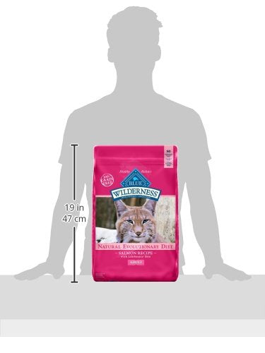Blue Buffalo Wilderness grain-free kibble free from corn, wheat, soy