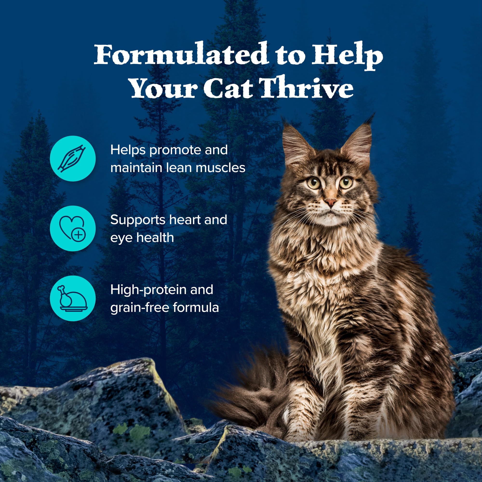 Blue Buffalo Wilderness grain-free packaging highlights premium ingredients and quality.