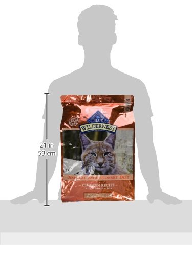 Blue Buffalo Wilderness Hairball Control Formula for indoor cats.