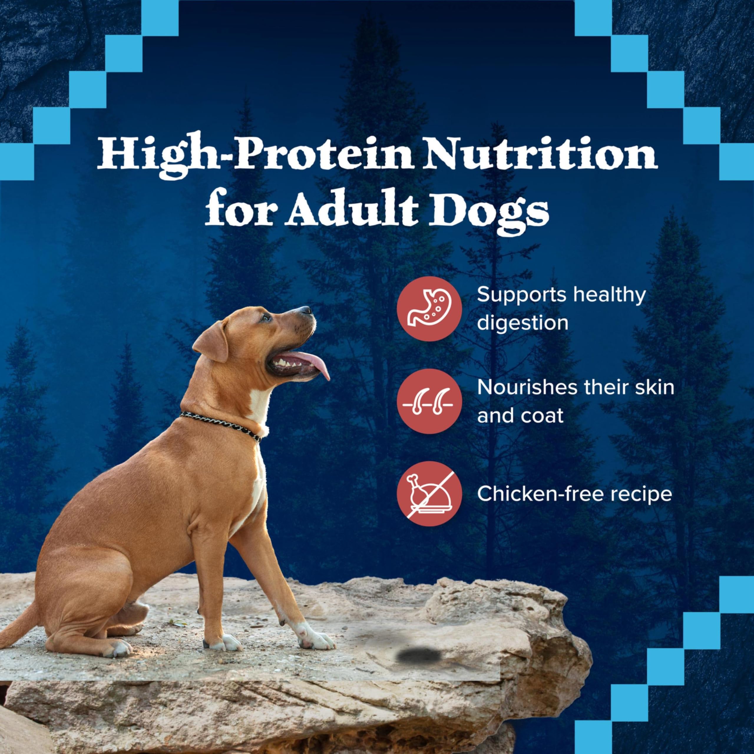 Blue Buffalo Wilderness high-protein formula image highlights energy for active dogs