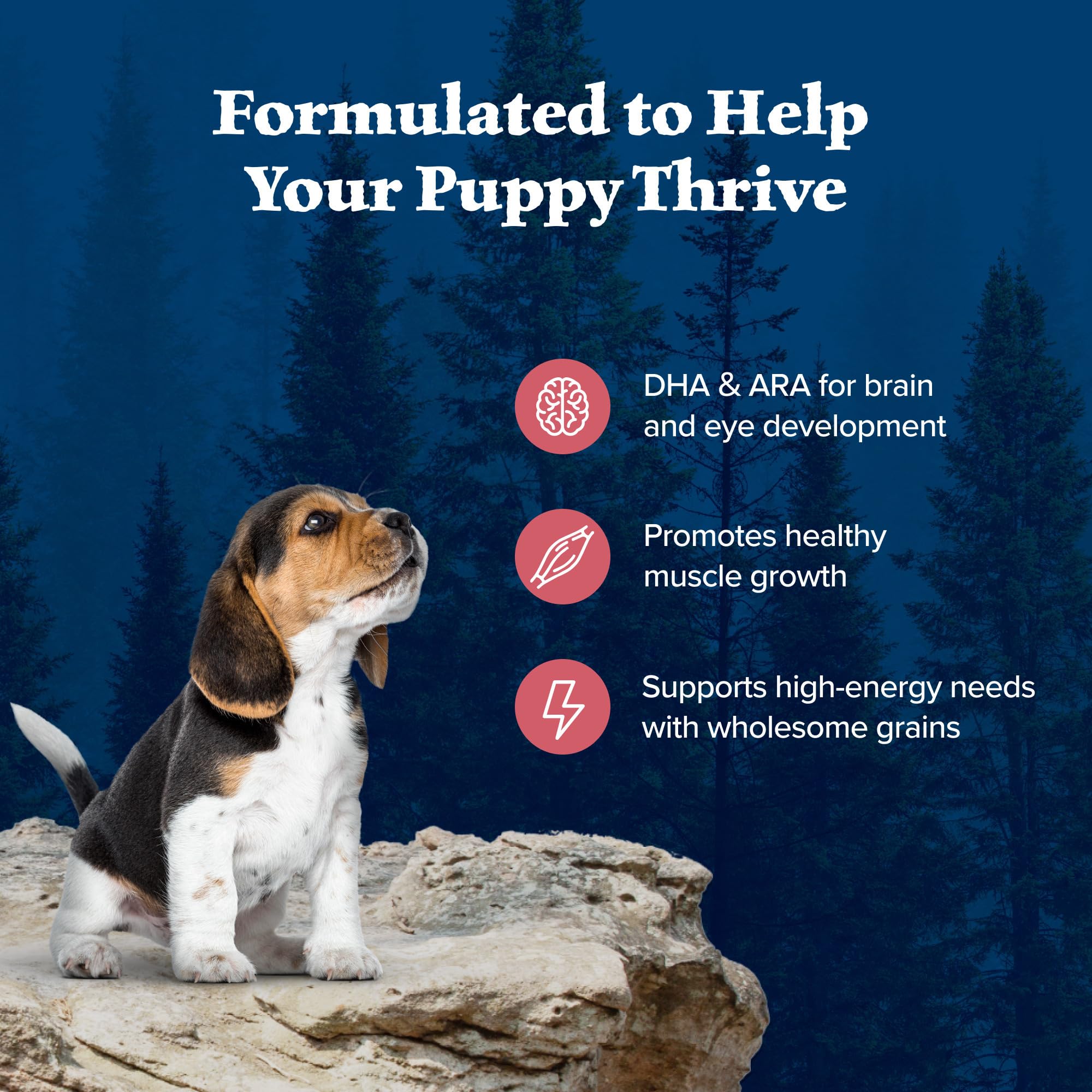 Blue Buffalo Wilderness high-protein puppy formula supports energetic play.