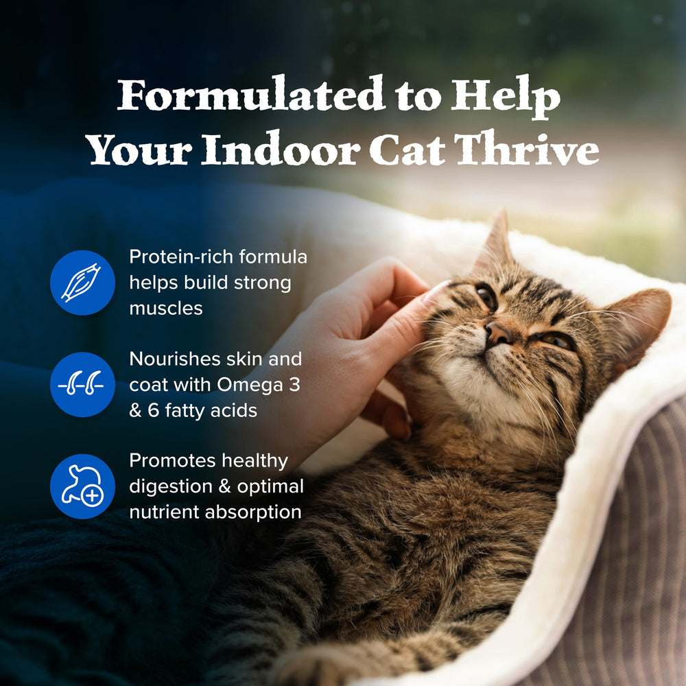 Blue Buffalo Wilderness indoor cat meal bowl shows balanced portions for indoor lifestyles.